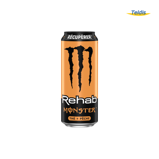 MONSTER REHAB PECHE 50CL X12