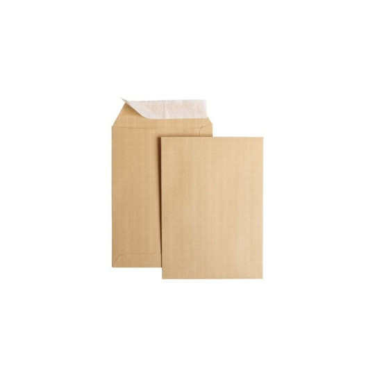 ENVELOPPES KRAFT 162 X 229 X50 AUTO ADHESIVES /10